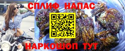 гашик Гусь-Хрустальный